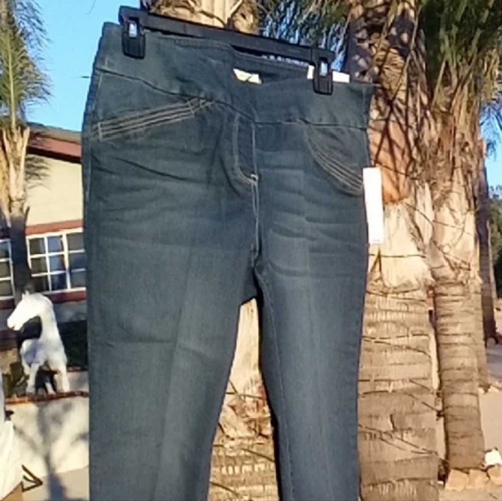 Westbound Dark Blue Jeggings